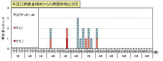 手足口病患者検体からのウイルス検出状況