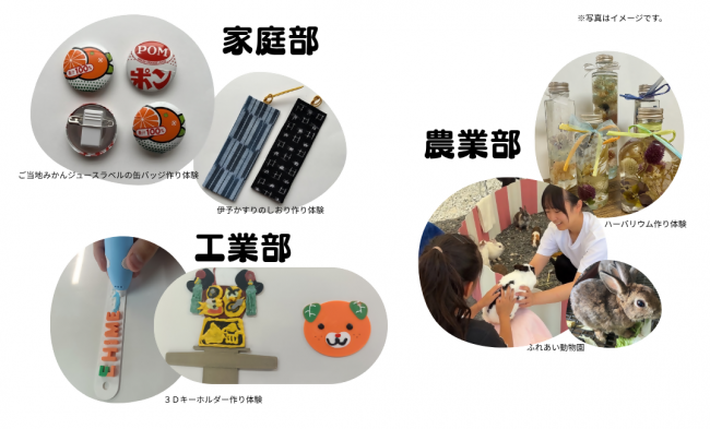 体験・実演コーナー
