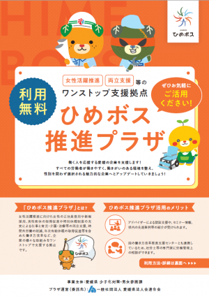 ひめボスプラザチラシ_表