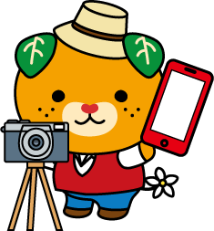 写真を撮るみきゃん