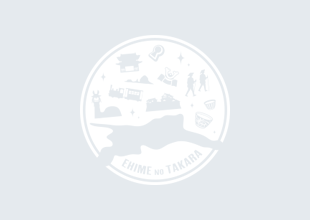 木造阿弥陀如来坐像（八坂寺）の画像