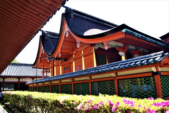 伊佐爾波神社の画像