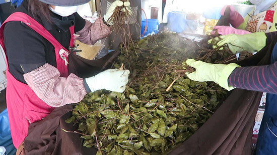 石鎚黒茶の製造技術の画像1