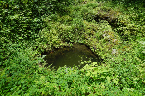 河後森城跡の画像5