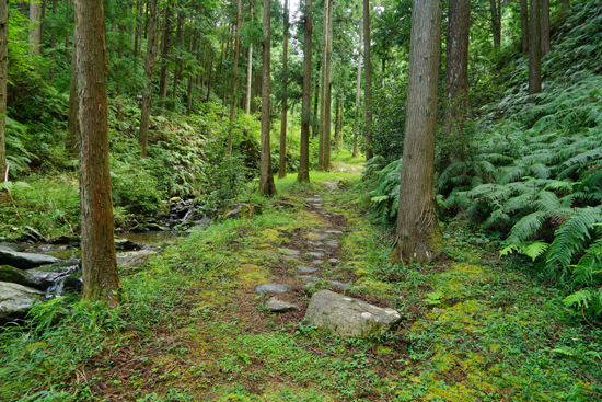 等妙寺旧境内の画像4