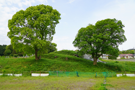 宇摩向山古墳の画像1