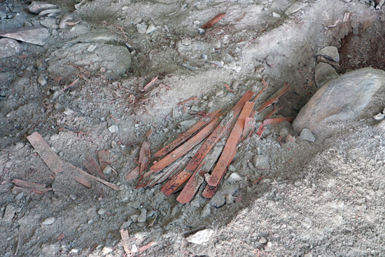 伊予遍路道（岩屋寺境内）の画像4