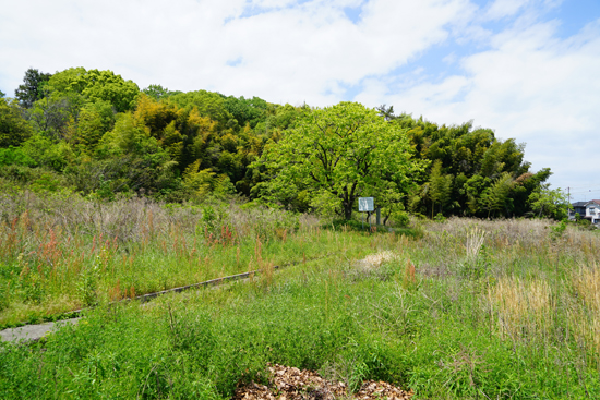 伊予国分尼寺塔跡の画像1