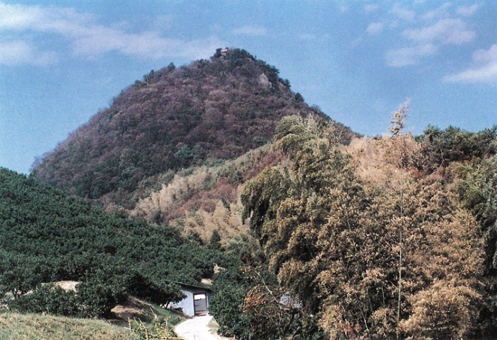 恵良城跡の画像