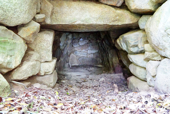 多伎神社古墳群の画像3