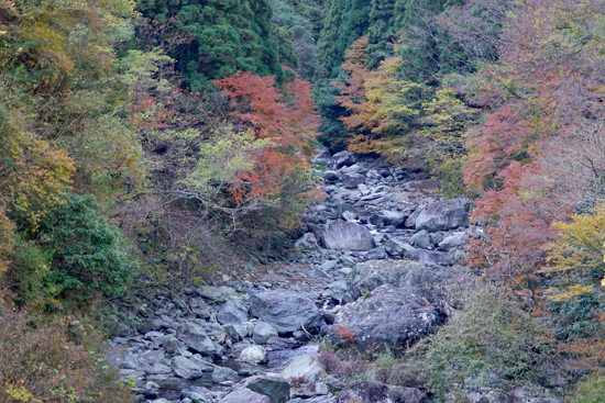 別子ラインの画像1
