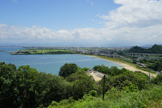 カブトガニ繁殖地の画像