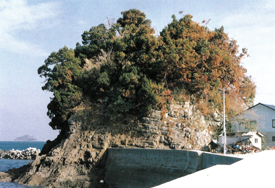 城の山のイブキ自生地の画像