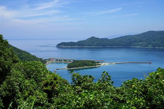 須賀の森の画像1