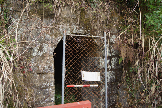 井谷家住宅主屋ほか４件の画像6