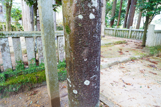 石鳥居遺構の画像2