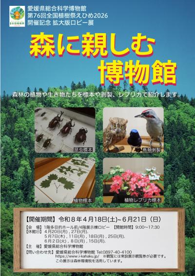 森に親しむ博物館チラシ