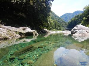 加茂川上流